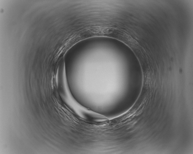 X0000054471202200507291338