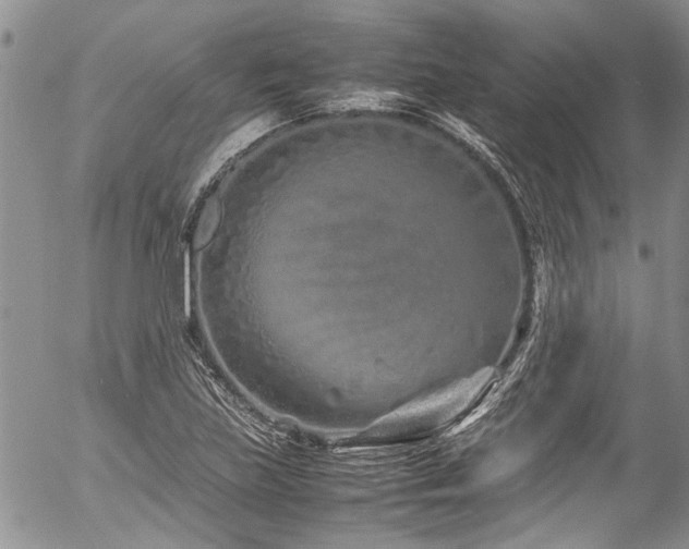 X0000054471219200507291339