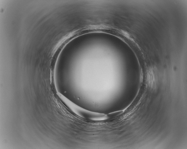 X0000054471221200507291339