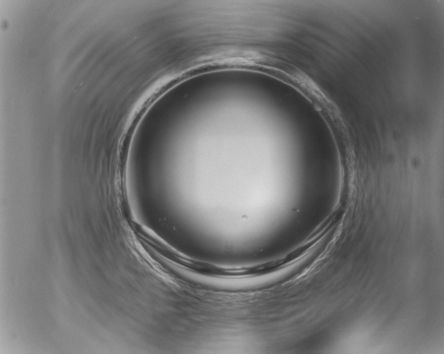 X0000054471240200507291339