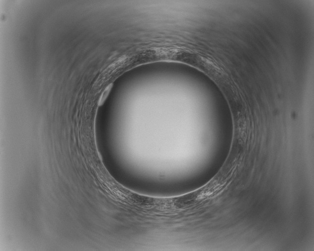 X0000054471249200507291338