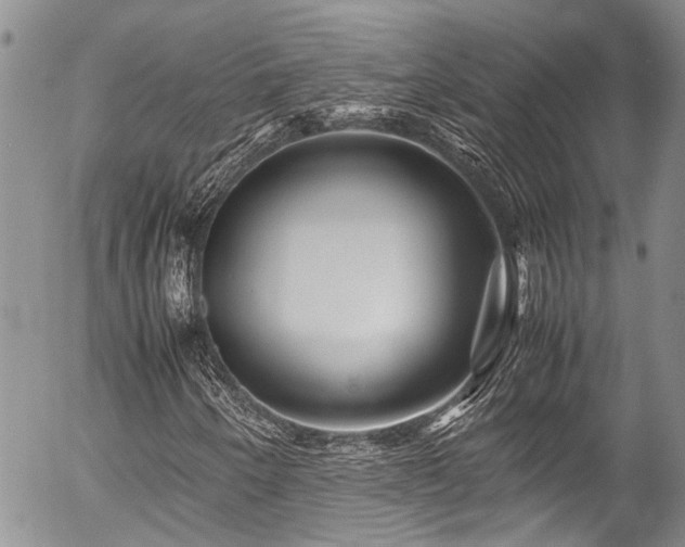 X0000054471250200507291338