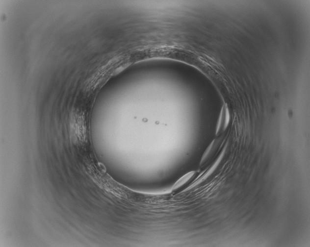 X0000054471252200507291338