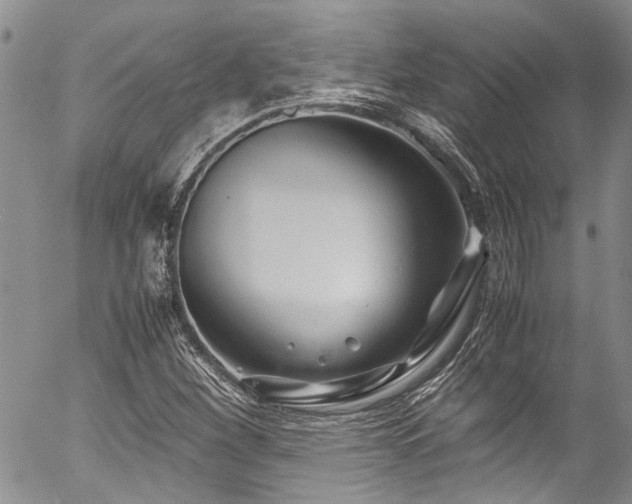 X0000054471260200507291338