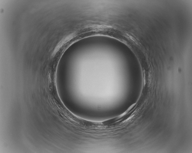 X0000054471261200507291338