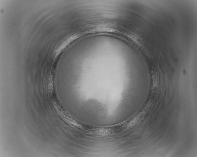 X0000054471266200507291338