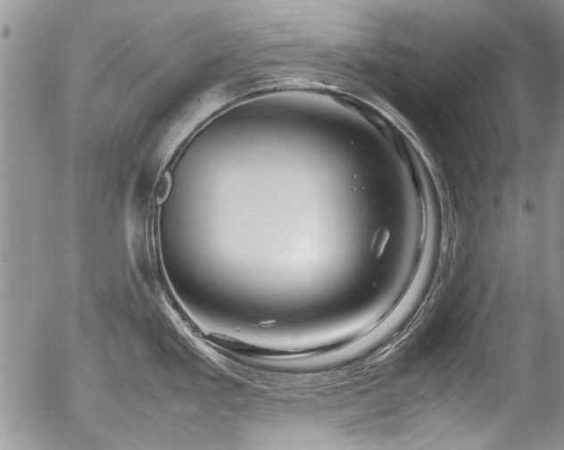 X0000054471293200507291337
