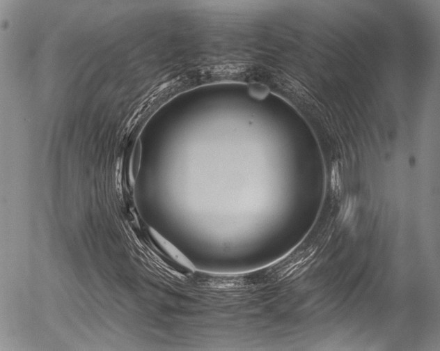 X0000054471299200507291337