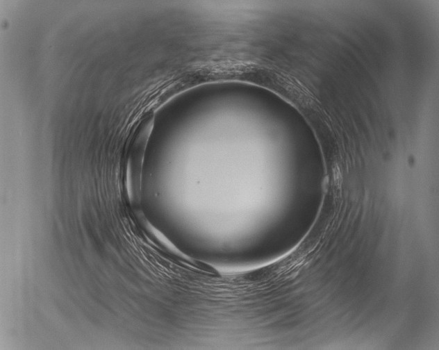 X0000054471300200507291337