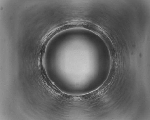 X0000054471304200507291337
