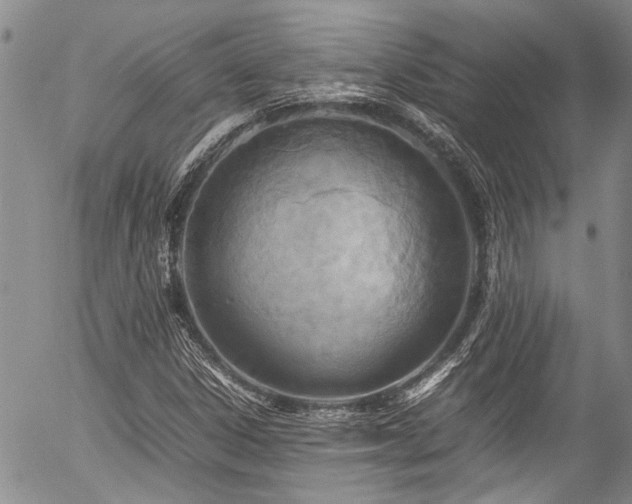 X0000054471306200507291337
