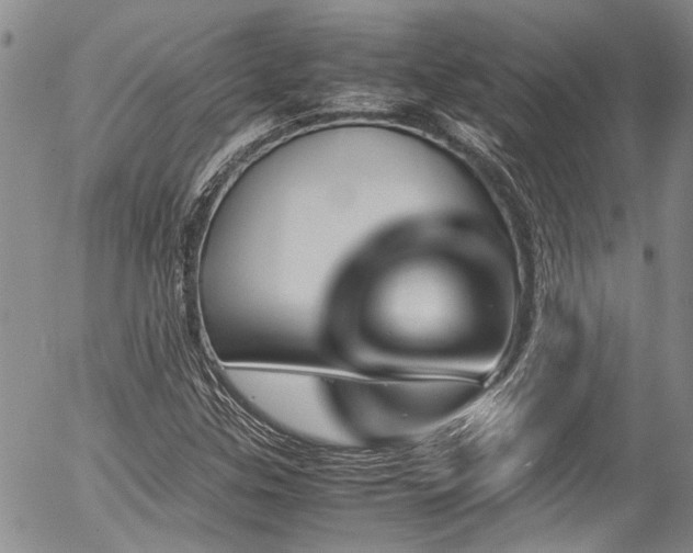 X0000054471307200507291337