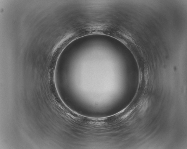 X0000054471309200507291337