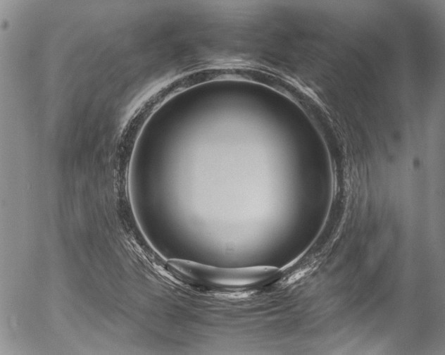X0000054471311200507291337