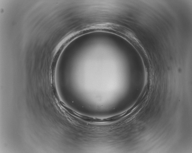 X0000054471328200507291337