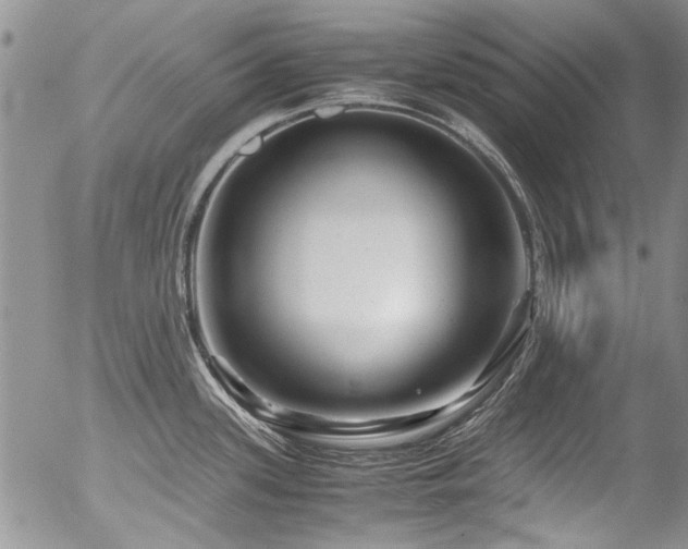 X0000054471339200507291337