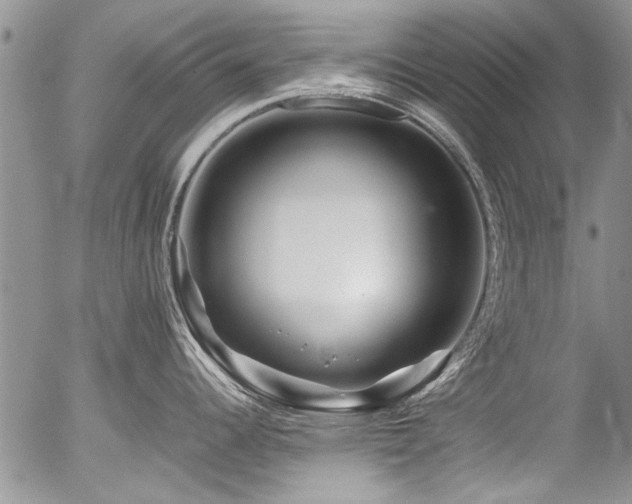 X0000054471344200507291337