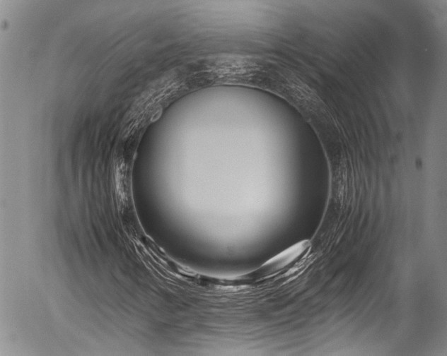 X0000054471346200507291337