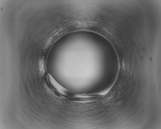 X0000054471348200507291337