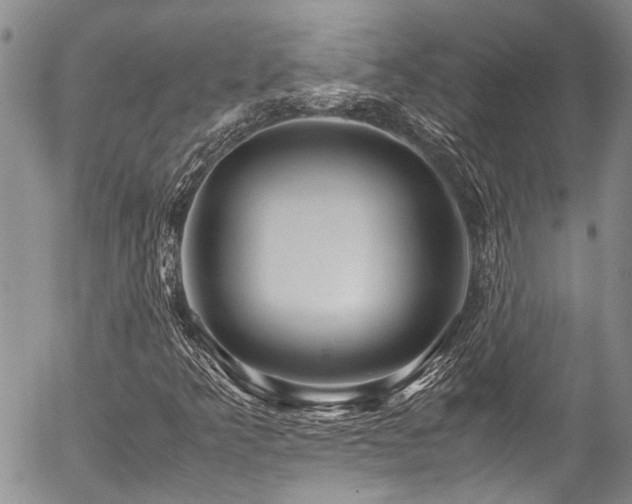 X0000054471349200507291337