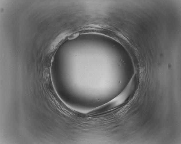X0000054471355200507291336
