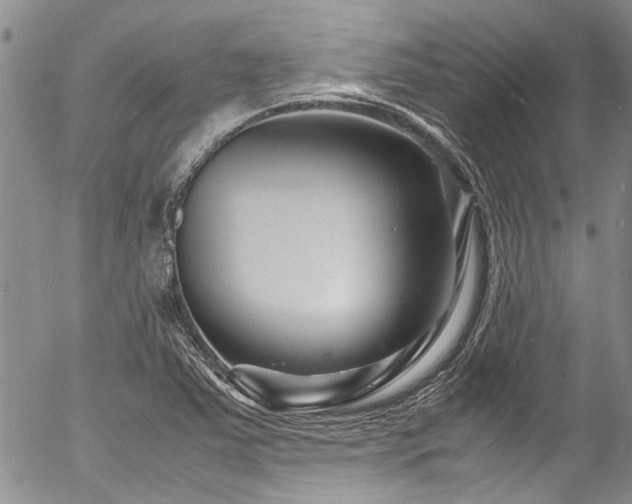 X0000054471363200507291336