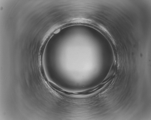 X0000054471376200507291336