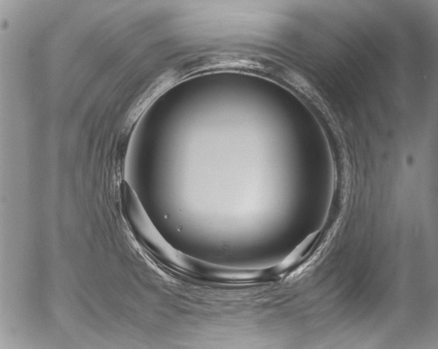 X0000054471377200507291336