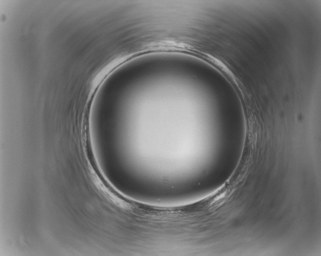 X0000054471387200507291336