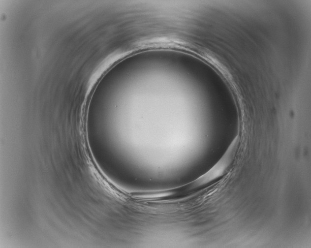 X0000054471392200507291336