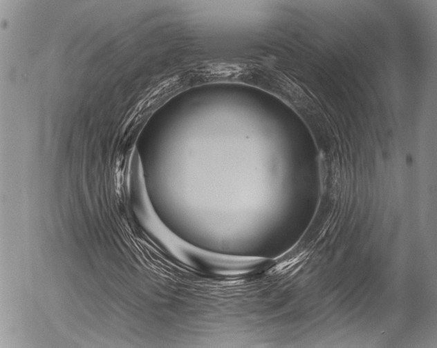 X0000054471394200507291335