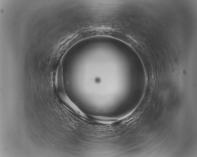 X0000054471398200507291335