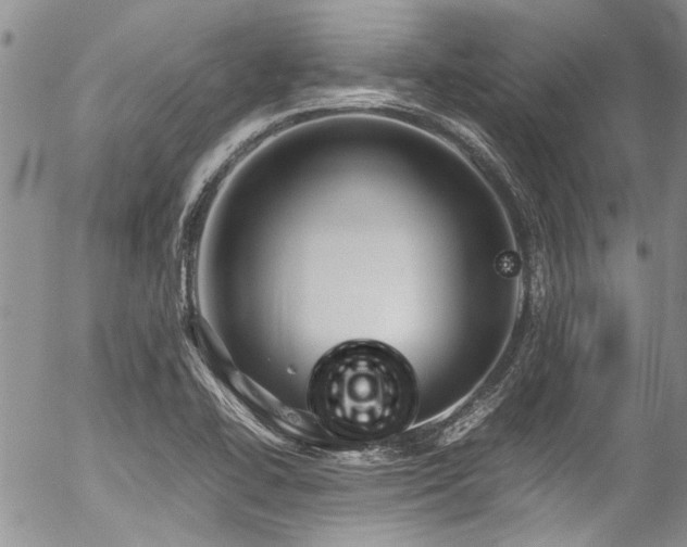 X0000054471414200507291335