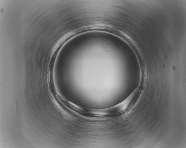 X0000054471418200507291335