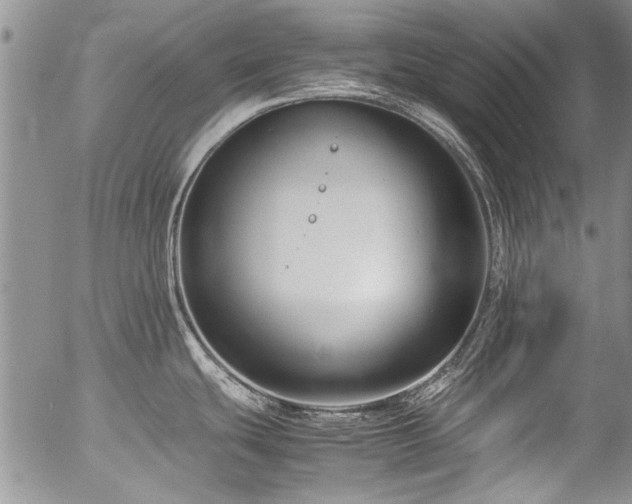 X0000054471439200507291336