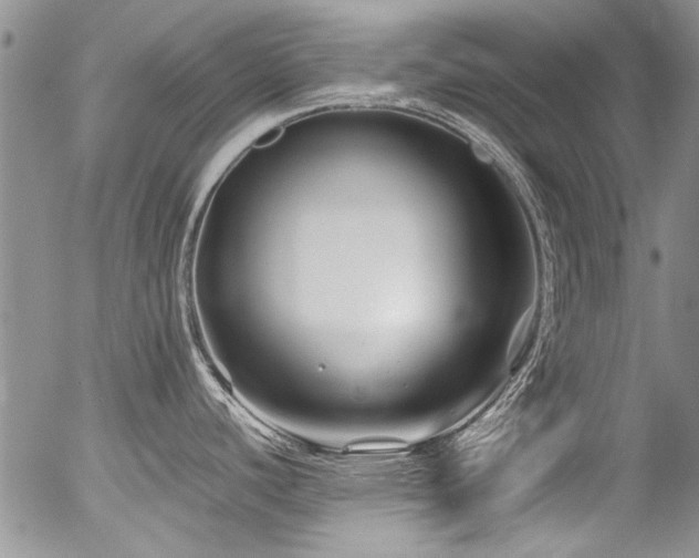 X0000054471440200507291336
