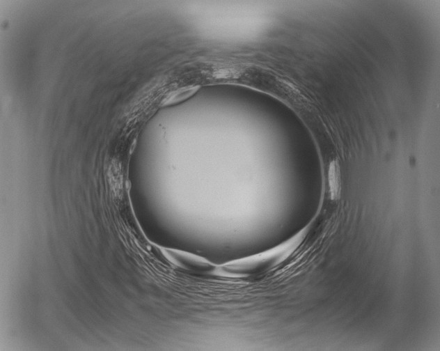 X0000054471443200507291335