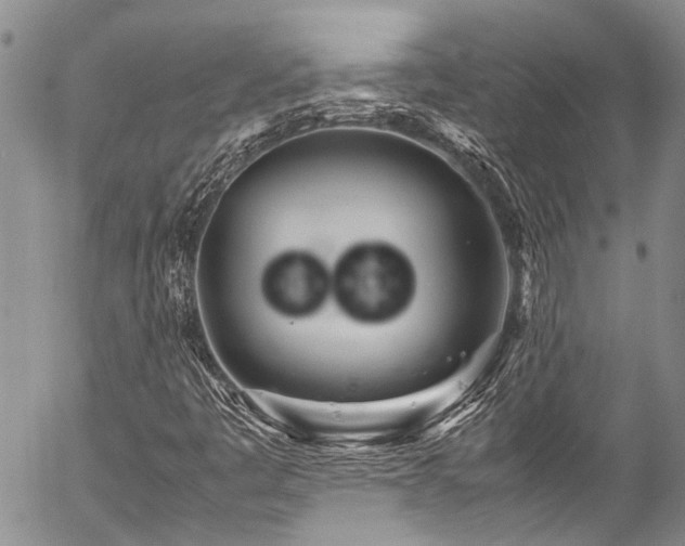 X0000054471445200507291335