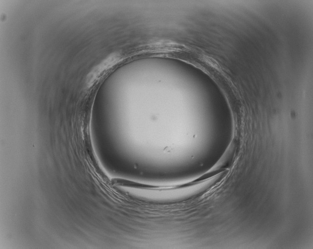 X0000054471451200507291335