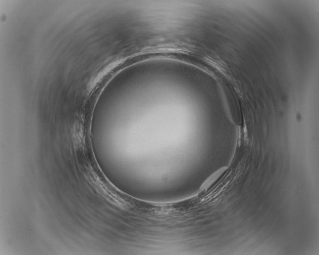 X0000054471452200507291335