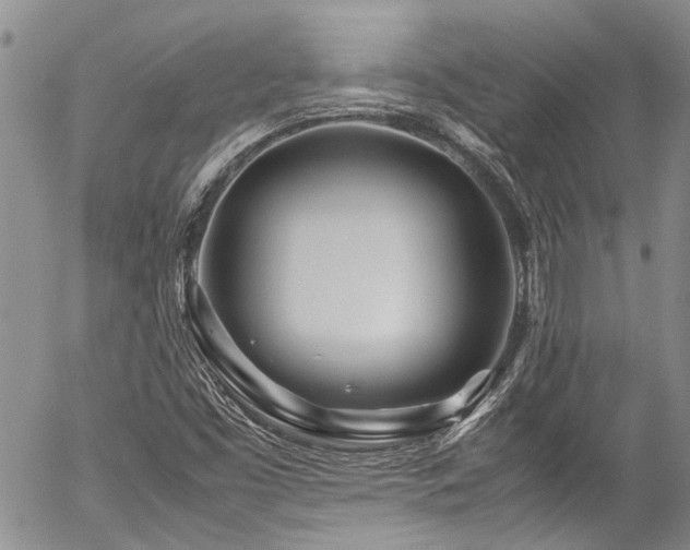 X0000054471453200507291335