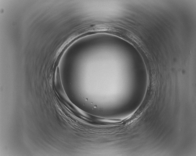 X0000054471465200507291335