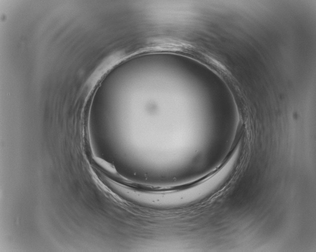 X0000054471471200507291335