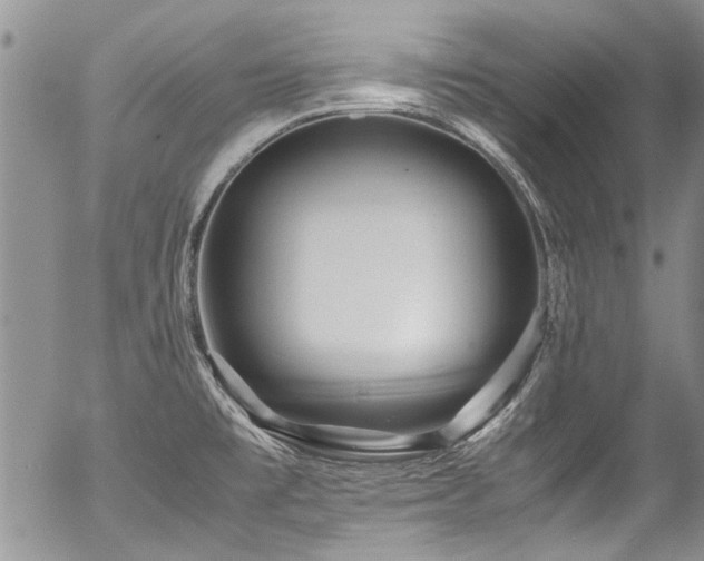 X0000054471477200507291334
