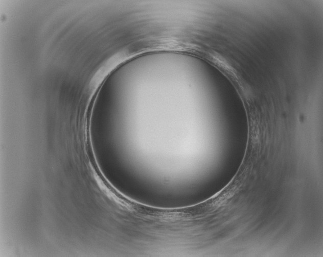 X0000054471479200507291334