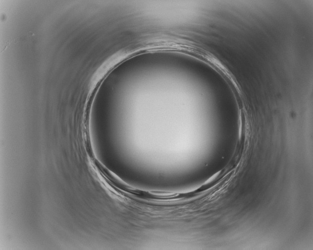 X0000054471485200507291334
