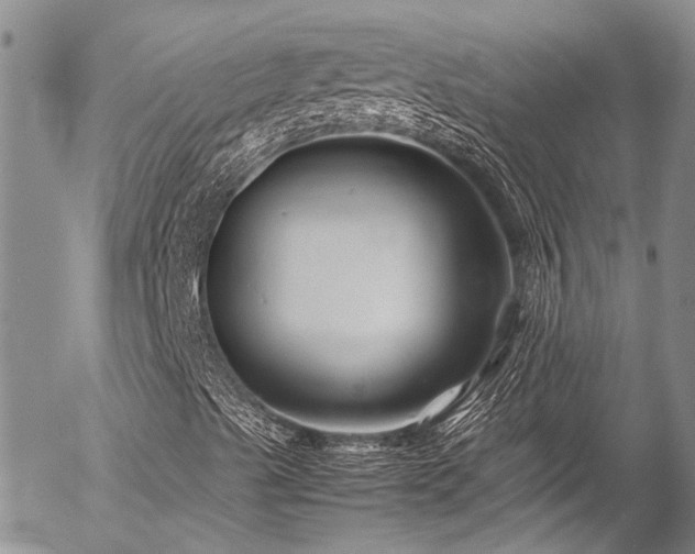 X0000054471489200507291333