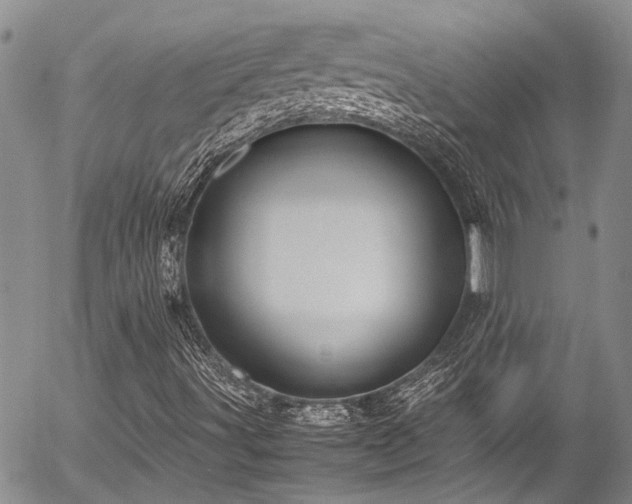 X0000054471491200507291334