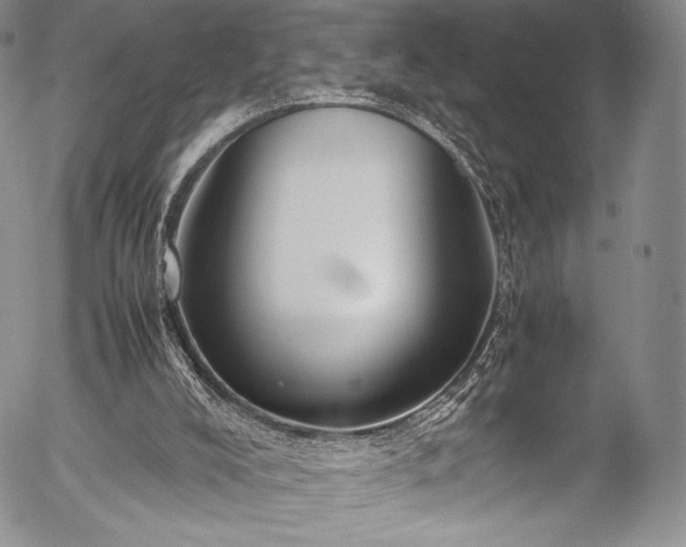 X0000054470008200508011513