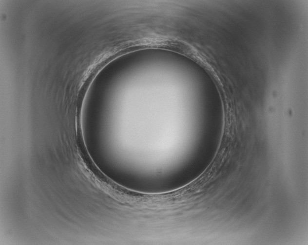 X0000054470011200508011513